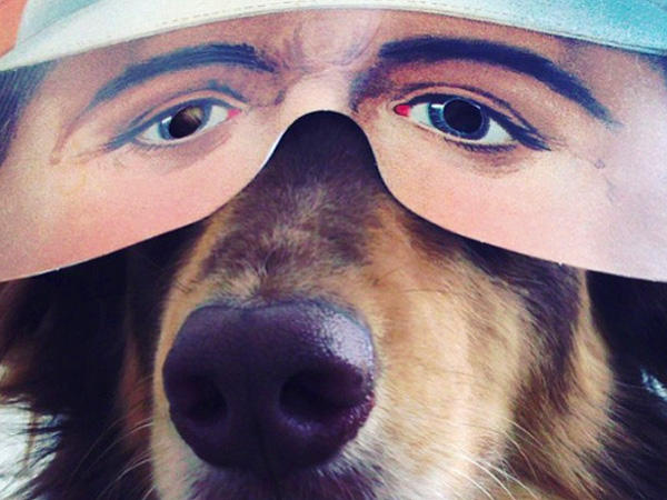 Amanda Seyfried Posts Video of Dog Finn
