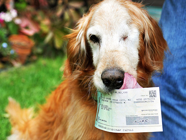 Man Gets Reimbursed After Dog Ate $500