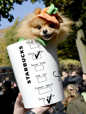 The Daily Treat: The Best Pics from the Tompkins Square Park Halloween Dog Parade| Dogs, Funny Pets, Halloween, Pet Style