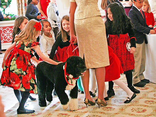 Sunny Obama Takes Down 2-Year-Old, We Consult Bo| Animals & Pets, Bo Obama, Dogs, Funny Pets, Michelle Obama