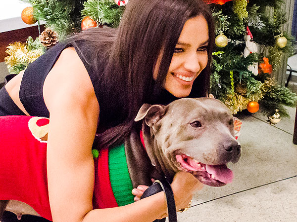 Adopt Me! Stay Warm with Baby the 'Cuddly Marshmallow' | Animal Charities, Dogs