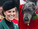 Stars and Their Pets: Kate's Irish Encounter | Kate Middleton