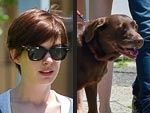 Stars and Their Pets: Anne's Coffee Mate | Adam Shulman, Anne Hathaway