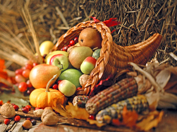 13 Ways The Hunger Games Is Sort of Like the Holidays| The Hunger Games, Christmas