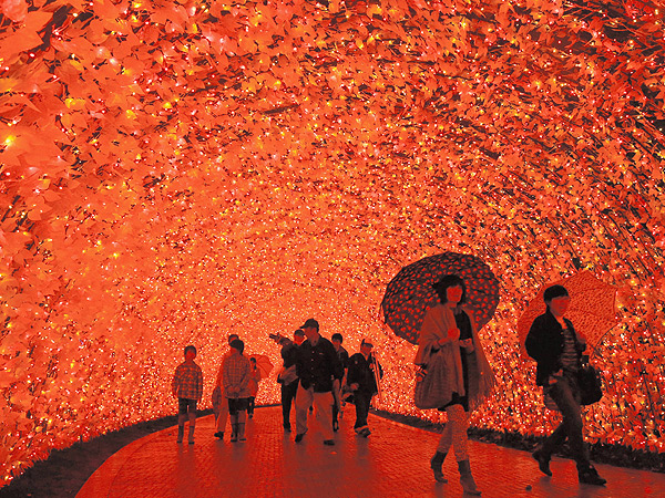 Blinded by Holiday Cheer: Japan's Installation of 7 Million Lights| Christmas