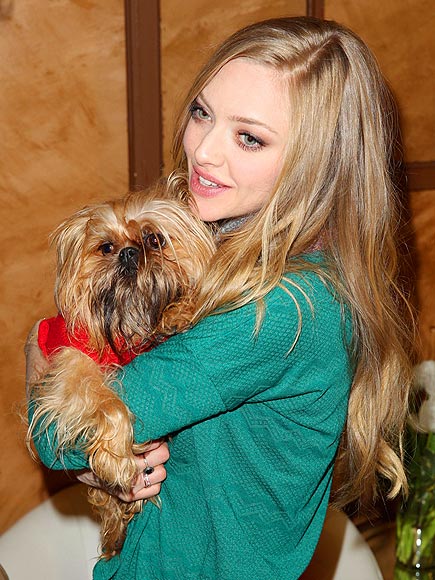 DOGGONE IT photo | Amanda Seyfried