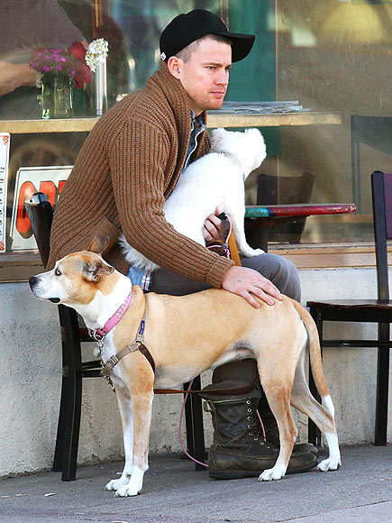 IN THE 'RUFF'
