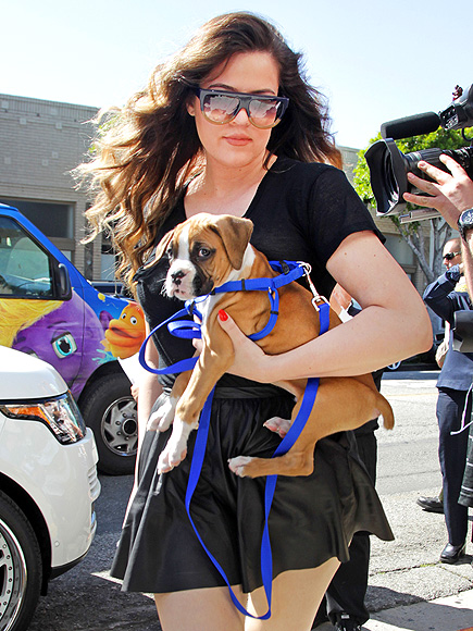 DOGGONE CUTE