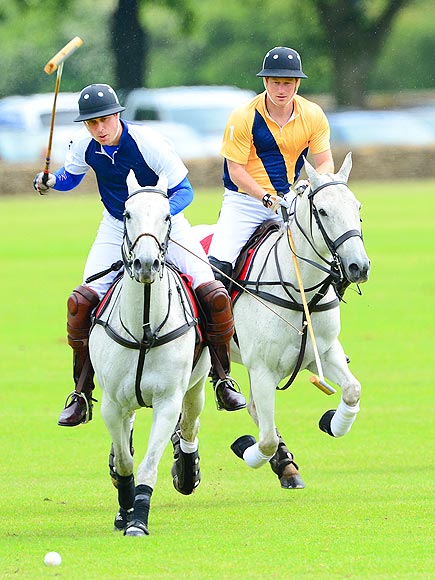 YEA OR NEIGH? photo | Prince Harry, Prince William