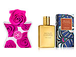 Your Summer Fragrance Finder