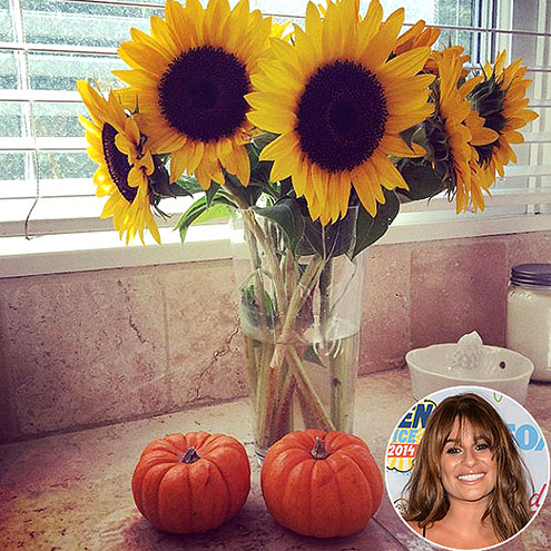 LEA MICHELE