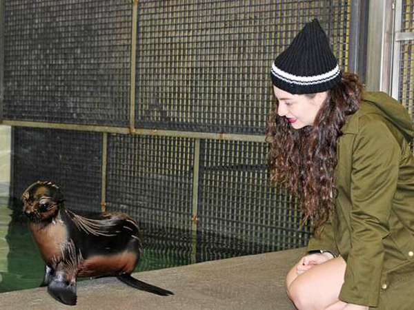 Lorde Meets a Fur Seal Pup in Boston