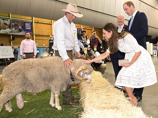 Kate Suggests William Try an Alpaca Wool Hairpiece| The British Royals, The Royals, Kate Middleton, Prince William