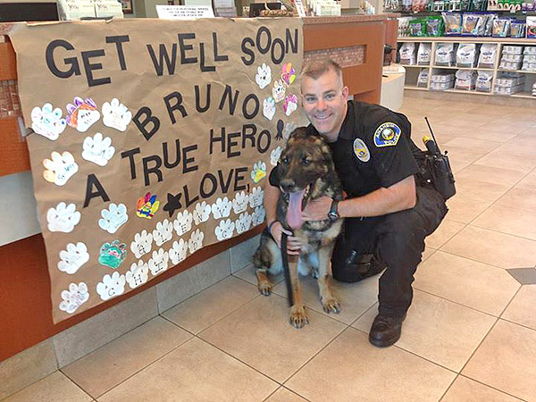 Bruno the Anaheim Police Dog Released from Hospital