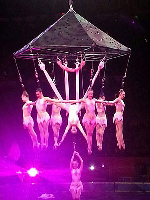 Acrobats Fall During Ringling Bros. Circus Stunt, 9 Seriously Injured| Ringling Bros. and Barnum & Bailey, Sickness & Injury