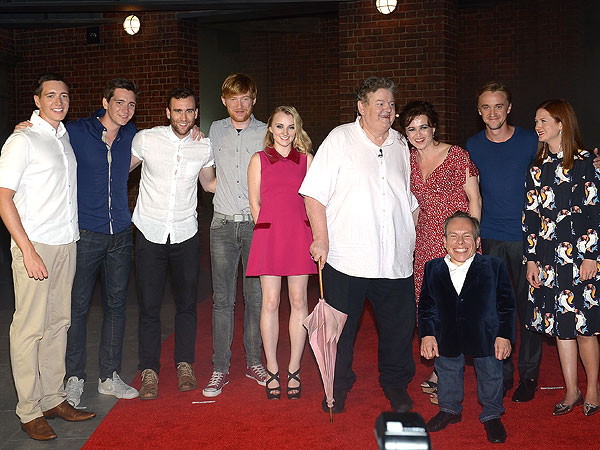 It's a Harry Potter Reunion at Universal Orlando's Diagon Alley| Harry Potter, Universal Studios, Daniel Radcliffe, J.K. Rowling