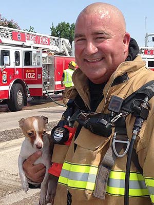 Texas Firefighter Brings Dead Dog Back to Life – Using CPR!| Real People Stories, Real Heroes