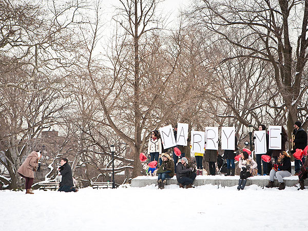 15 French Bulldogs Help Man Propose to His Girlfriend| Cute Pets, Dogs, Engagements, Real People Stories