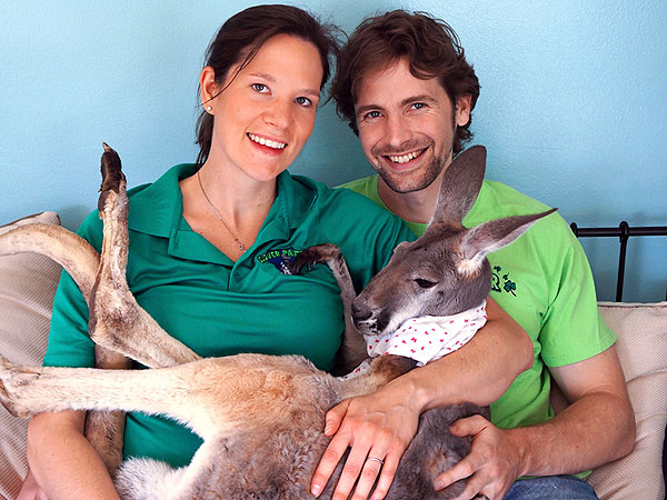 The Daily Treat: This Might Be the Most Well-Dressed Kangaroo We've Ever Seen| Animals & Pets, Unusual Pets, Wacky Animal Stories