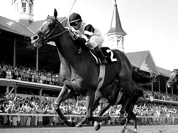 Take Notes, California Chrome: What to Know About the Horses Who've Won the Triple Crown| Pet News