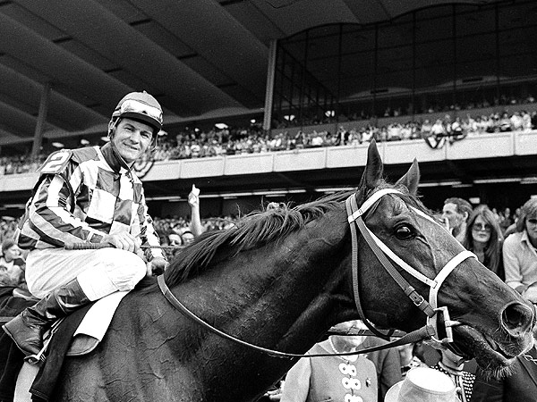 Take Notes, California Chrome: What to Know About the Horses Who've Won the Triple Crown| Pet News