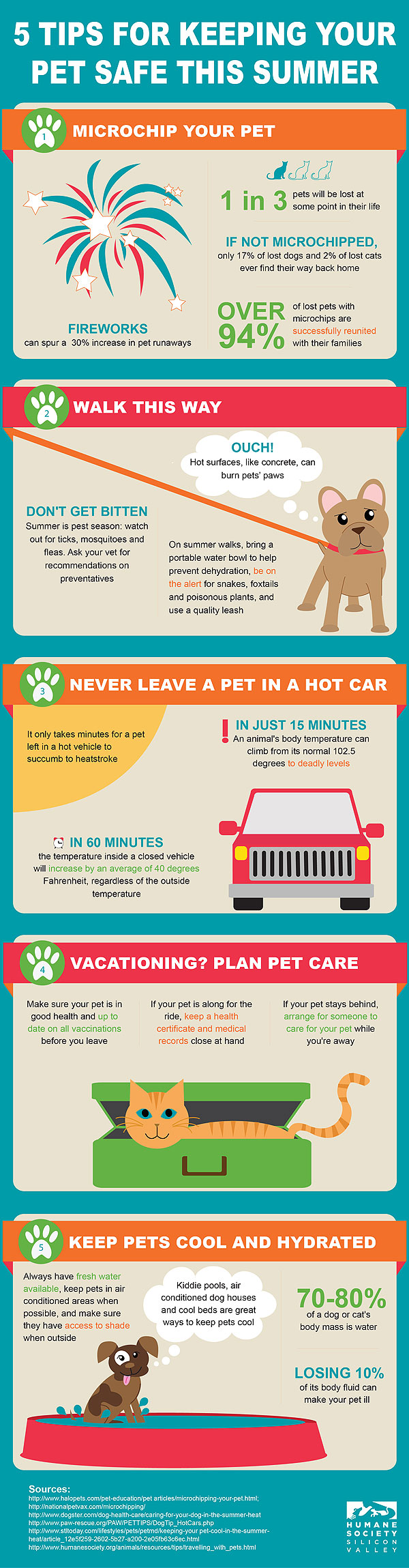 INFOGRAPHIC: How to Keep Your Pets Safe this Summer| Animals & Pets, Dogs, Pet News