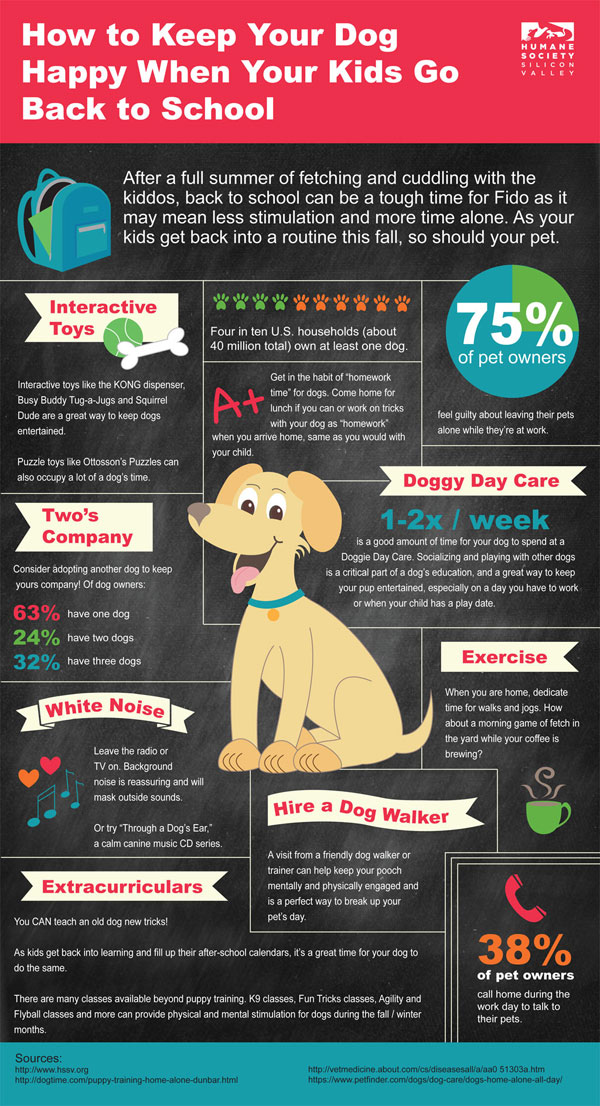 INFOGRAPHIC: How to Help Your Dog Beat the Back-to-School Blues| Dogs, Back to School