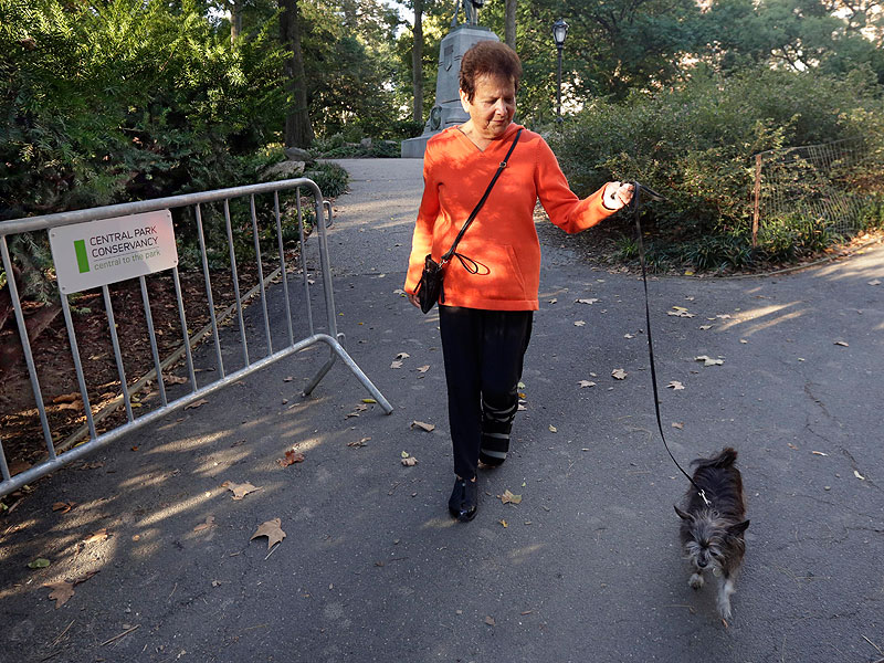 Mysterious Bear Cub Found Dead Inside Central Park| Animals & Pets, Baby Animals