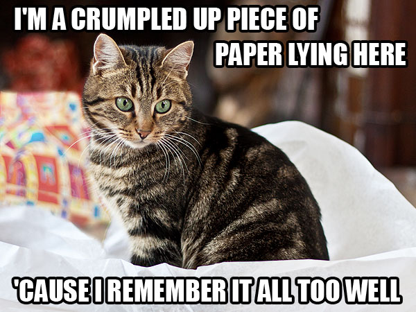 In Which We Use Cats to Explain Taylor Swift Songs| Animals & Pets, Cats, Grammy Awards 2014, Individual Class