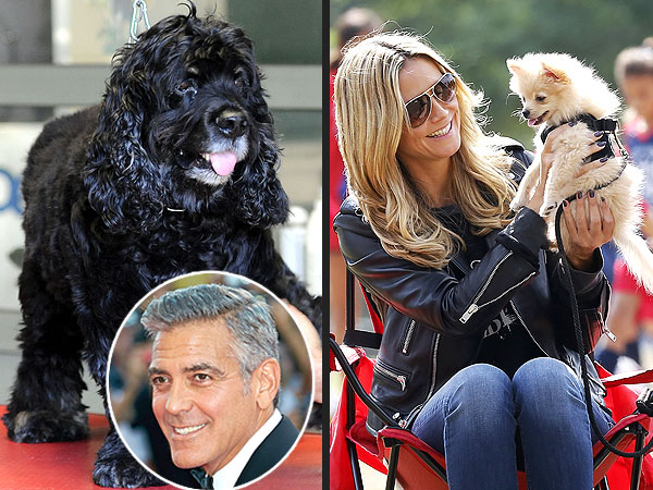 Making the Case for George Klum-y: Why They Need to Date| Breakups, Couples, George Clooney, Heidi Klum