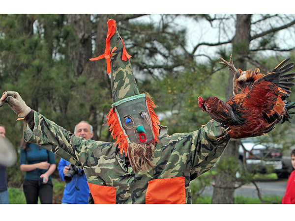 Courir de Mardi Gras: The Strangest Tradition You've Never Heard Of| Around the Web