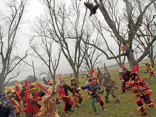 Courir de Mardi Gras: The Strangest Tradition You've Never Heard Of| Around the Web