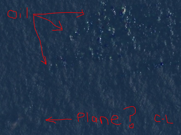 Courtney Love Searches for Missing Malaysia Airlines Flight 370 Plane| Malaysia Airlines Flight 370, Planes, Courtney Love