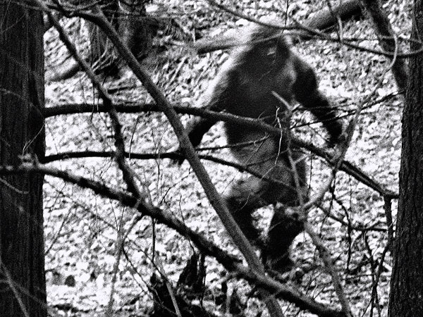 bezgar bigfoot monster