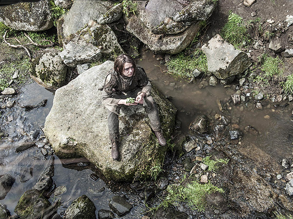 Game of Thrones Recap: The Ends Justify the Mean (Spoilers)| Game of Thrones, TV News
