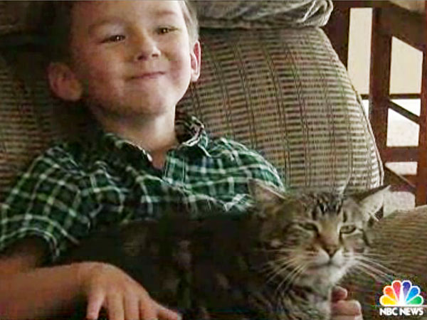 10 Hero Pets Who Ran Off with Our Hearts| Cats, Pet News, Homeward Bound: The Incredible Journey, Men in Black, The Artist, The Little Mermaid, The Wizard of Oz, Turner & Hooch, War Horse
