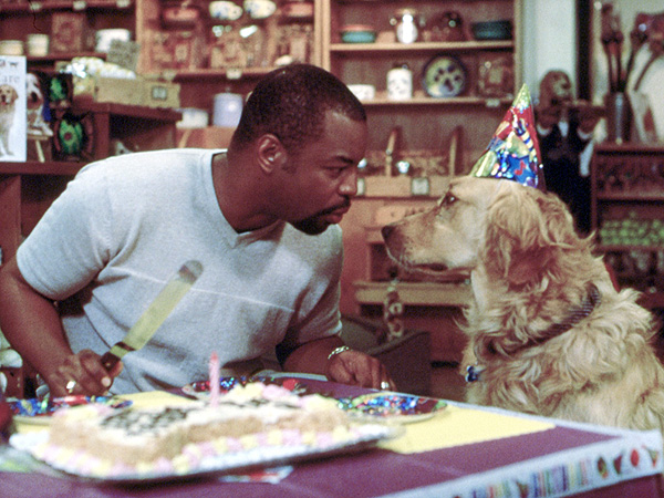 LeVar Burton Beams Up Star Trek Buddies for Reading Rainbow Campaign| Star Trek, Star Trek: The Next Generation, Brent Spiner, Jonathan Frakes, Kate Mulgrew, LeVar Burton, Patrick Stewart
