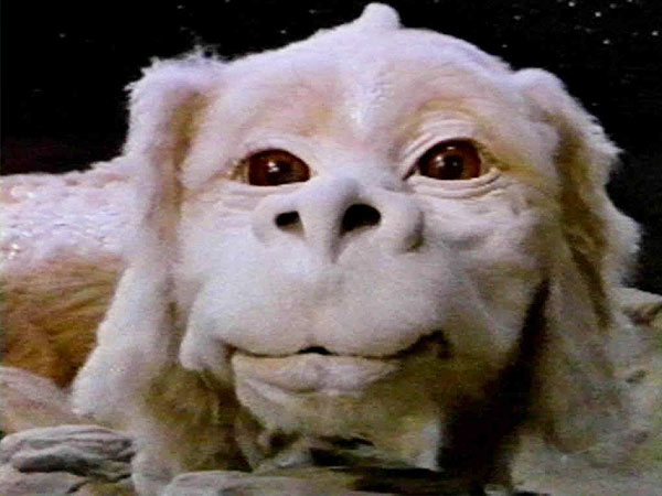 From Toothless to Drogon: The Best Pop-Culture Dragons, Ranked| Dragonheart, Dragonslayer, Harry Potter and the Goblet of Fire, How To Train Your Dragon, Mulan, Shrek, Spirited Away, The Hobbit: The Desolation of Smaug, The NeverEnding Story, Pokemon, Game of Thrones, Spyro the Dragon