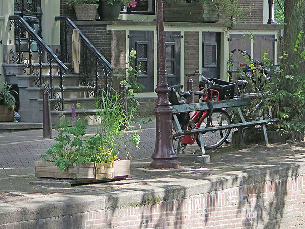 Missing: Amsterdam Bench Featured in The Fault in Our Stars| The Fault in Our Stars, Movie News