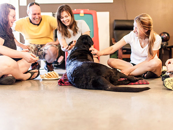 Photo Diary of Dog's Last Day Inspires Owners to Share Their Stories of Loving and Losing Pets| Animals & Pets, Dogs, Around the Web