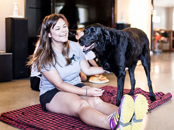 Photo Diary of Dog's Last Day Inspires Owners to Share Their Stories of Loving and Losing Pets| Animals & Pets, Dogs, Around the Web