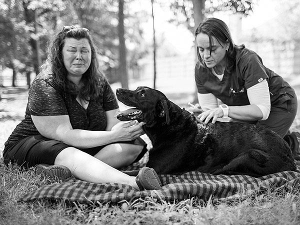 Photo Diary of Dog's Last Day Inspires Owners to Share Their Stories of Loving and Losing Pets| Animals & Pets, Dogs, Around the Web