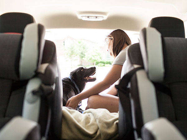 Photo Diary of Dog's Last Day Inspires Owners to Share Their Stories of Loving and Losing Pets| Animals & Pets, Dogs, Around the Web