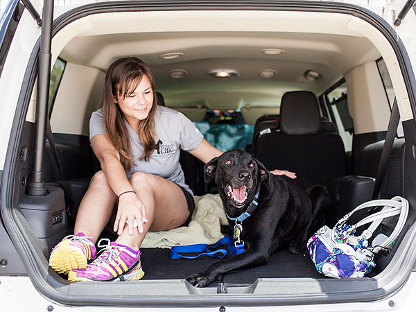 Photo Diary of Dog's Last Day Inspires Owners to Share Their Stories of Loving and Losing Pets| Animals & Pets, Dogs, Around the Web