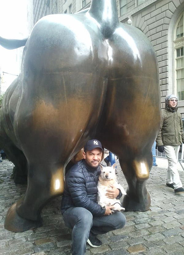 Man Takes Dying Dog on an N.Y.C. Bucket List Adventure| Animals & Pets, Around the Web