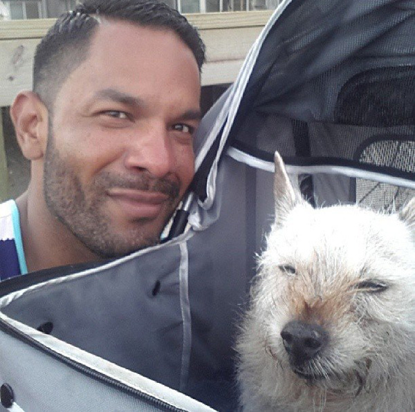 Man Takes Dying Dog on an N.Y.C. Bucket List Adventure| Animals & Pets, Around the Web