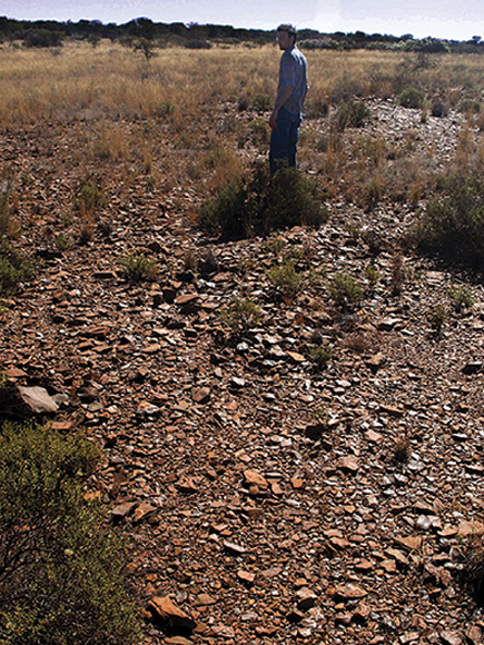 One-Million-Year-Old 'Man-Made' Tools Discovered in South Africa| Around the Web