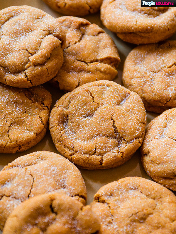 gingerbread cookie recipe no molasses