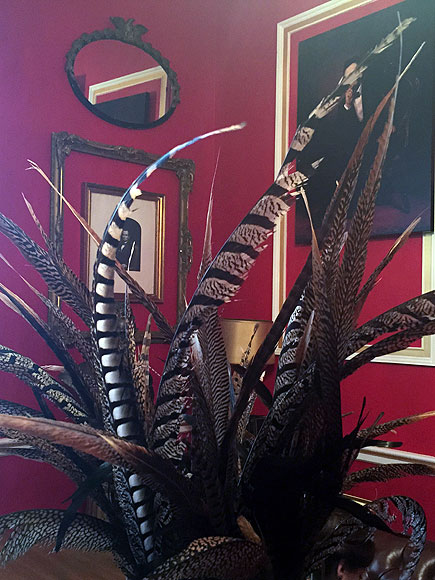 Congressman's 'Downton Abbey'-Inspired Office Causes Capitol Stir| Politics, Downton Abbey