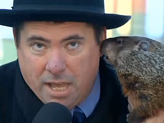 groundhog day bites mayor